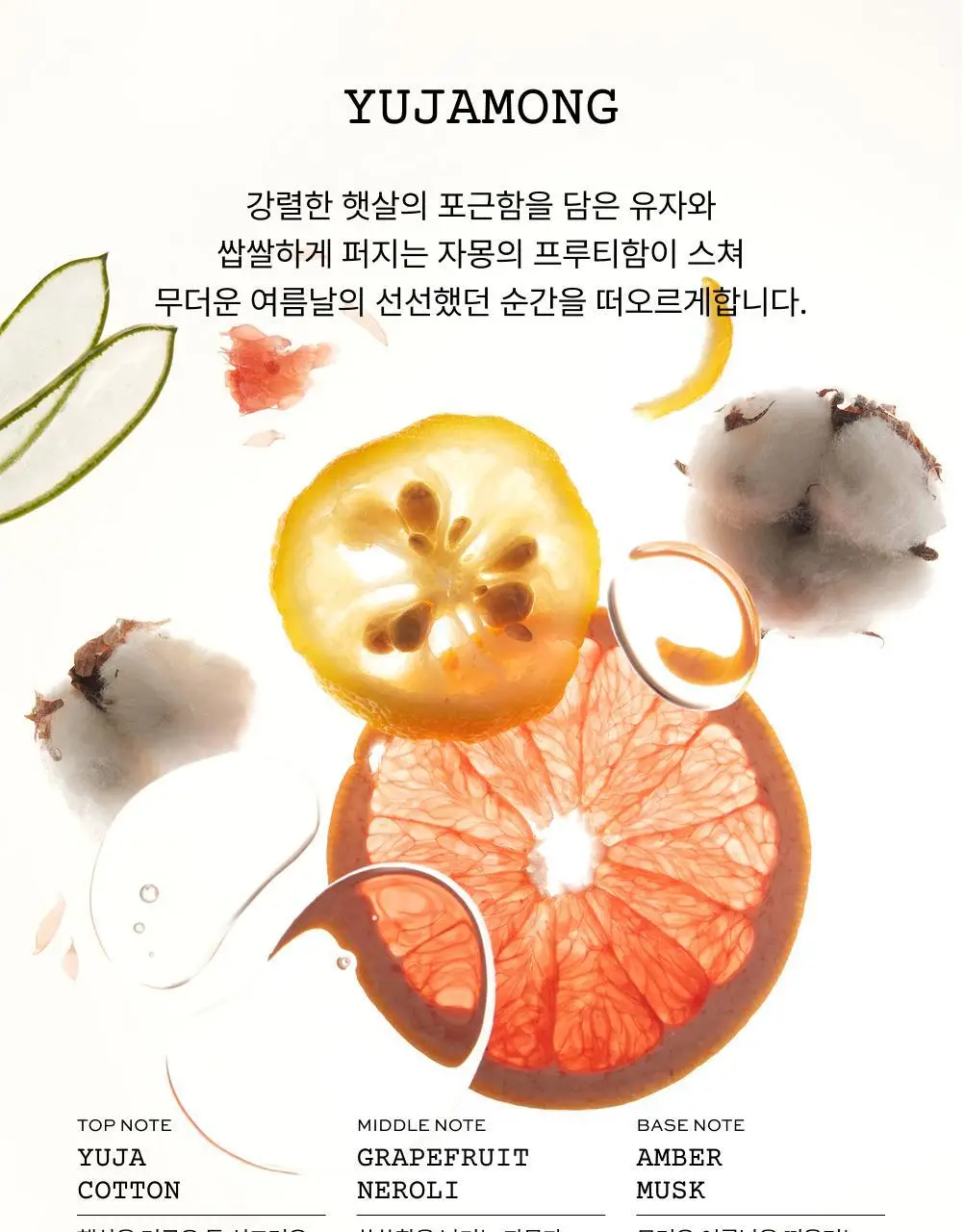 [NEW/키링증정] 휩드 쥬이시 헤어 퍼퓸 15ml + 키링 기획 (3종 중 택1) 상세페이지 15